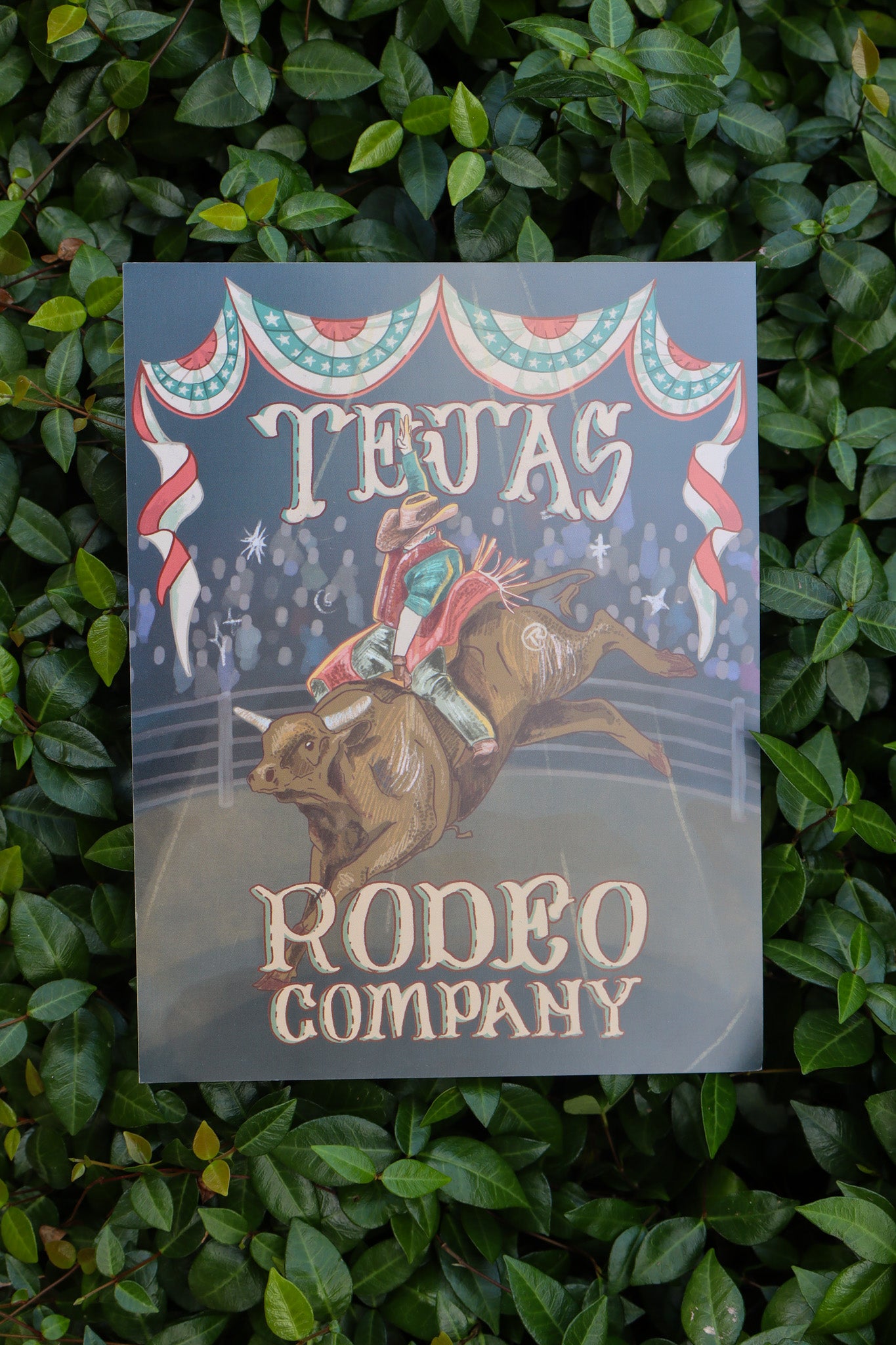 Tejas Rodeo Poster 16"x20"