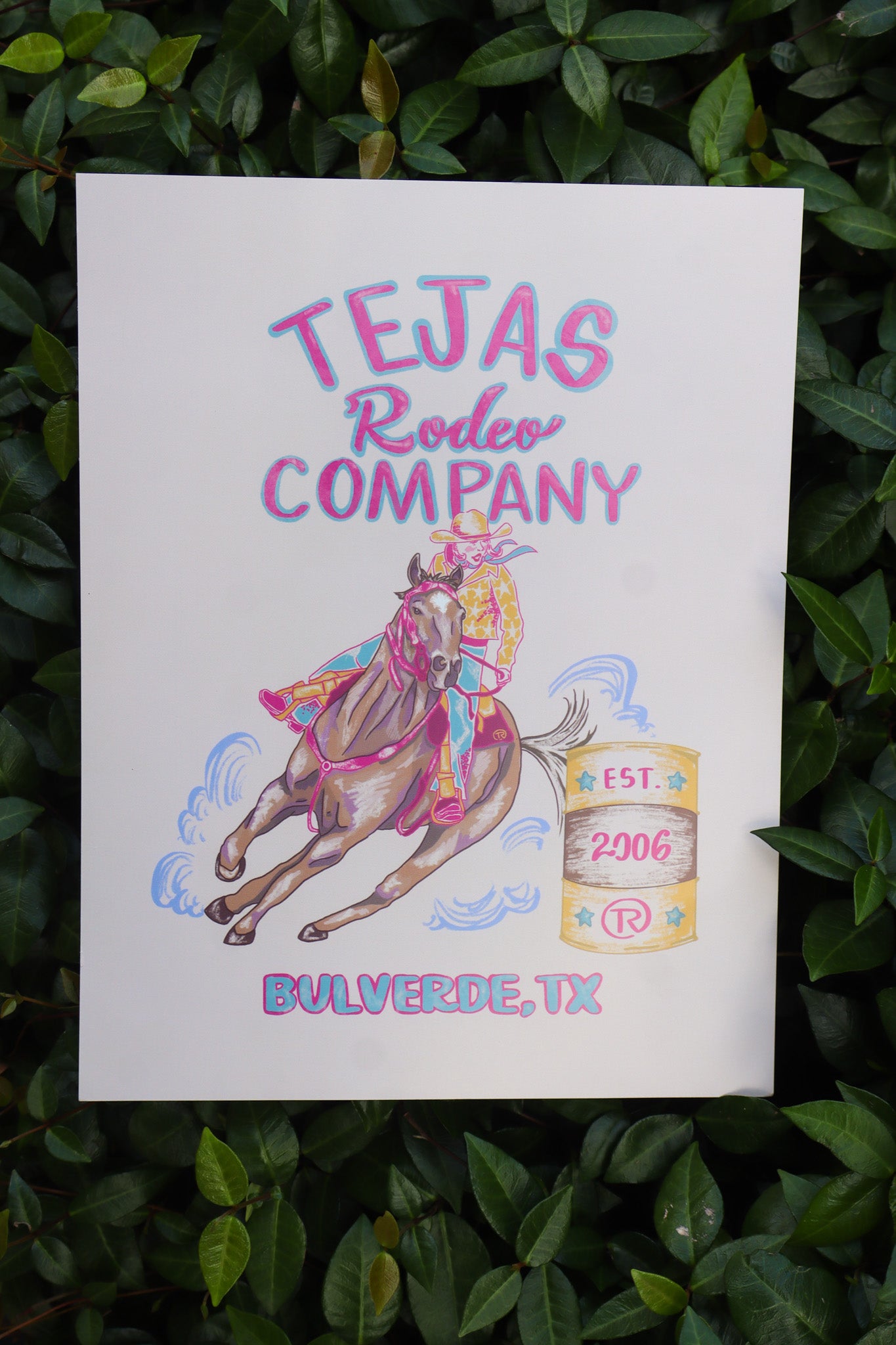 Tejas Rodeo Poster 16"x20"